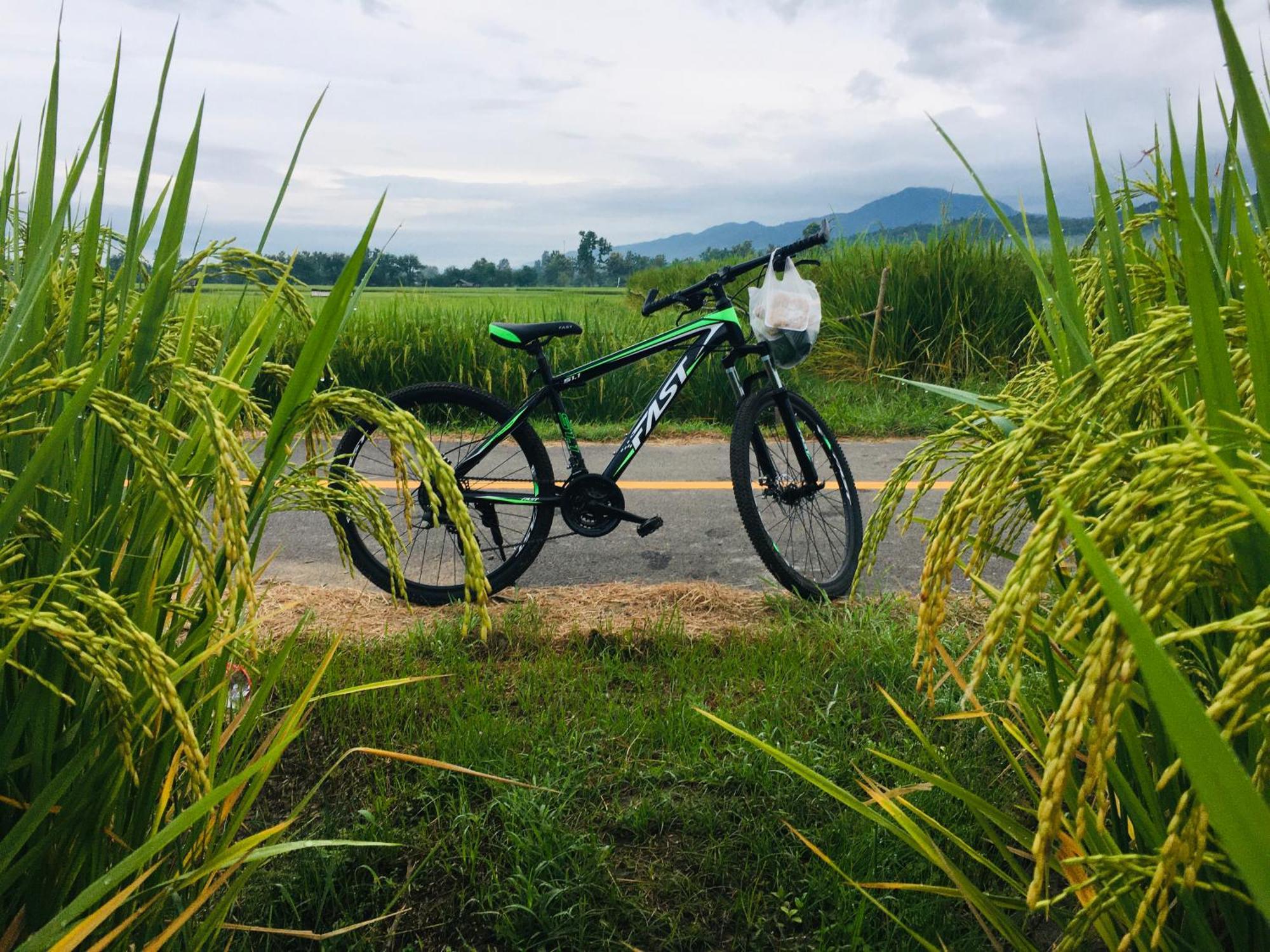 Pua Tranquil Vista Homestay Bagian luar foto